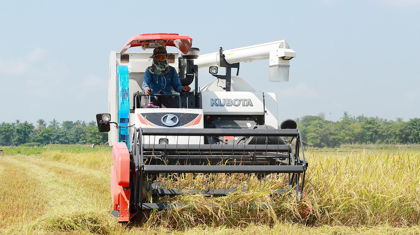 paddy harvester machine